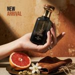 Signature 7 Collections,